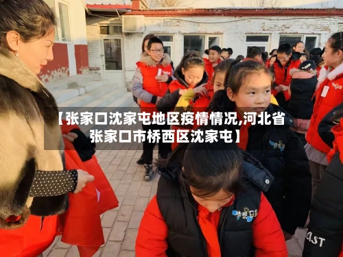 【张家口沈家屯地区疫情情况,河北省张家口市桥西区沈家屯】-第3张图片