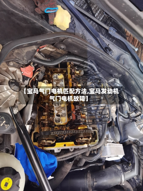 【宝马气门电机匹配方法,宝马发动机气门电机故障】-第2张图片