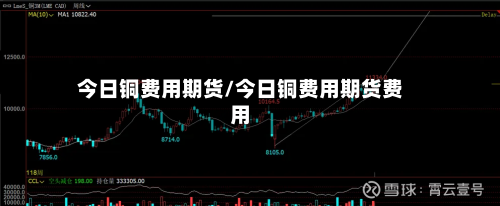 今日铜费用期货/今日铜费用期货费用