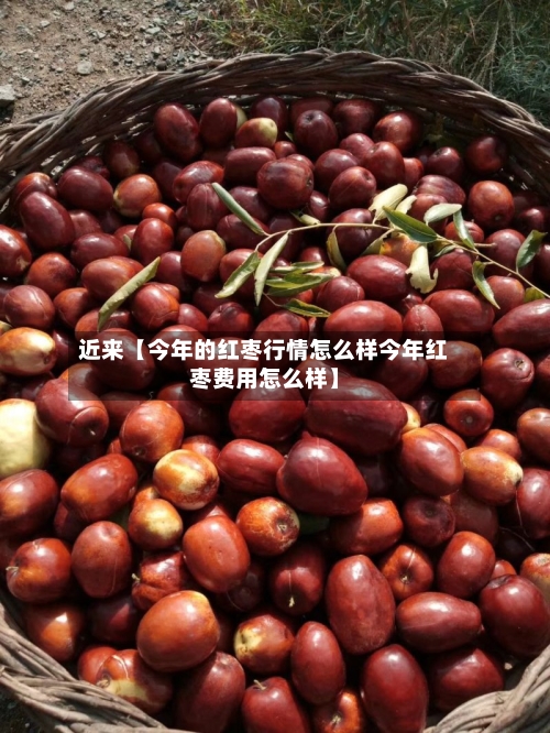 近来【今年的红枣行情怎么样今年红枣费用怎么样】