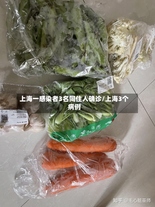 上海一感染者3名同住人确诊/上海3个病例