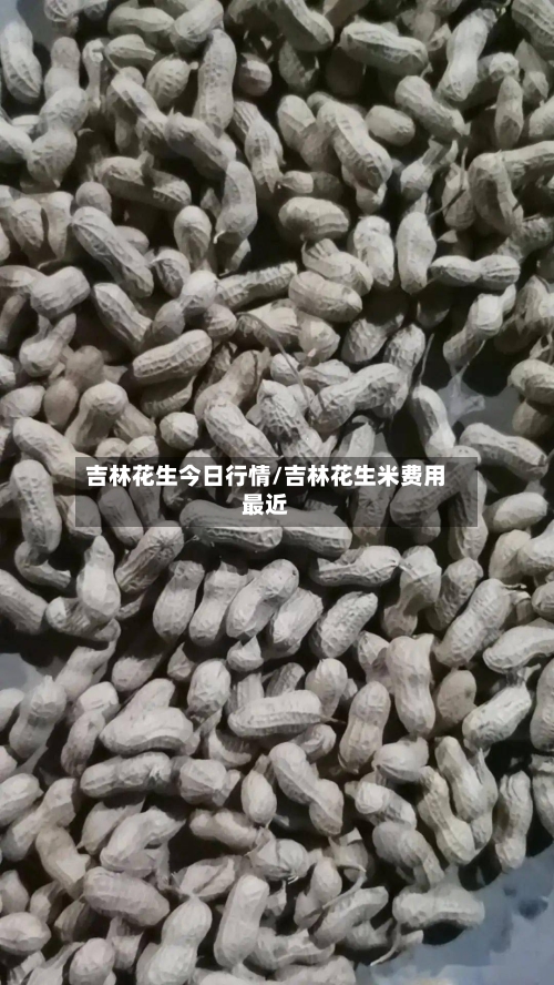 吉林花生今日行情/吉林花生米费用最近