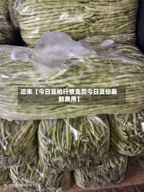 近来【今日豆柏行情走势今日豆伯最新费用】-第3张图片