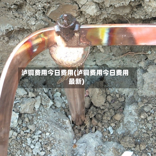 泸铜费用今日费用(泸铜费用今日费用最新)-第2张图片