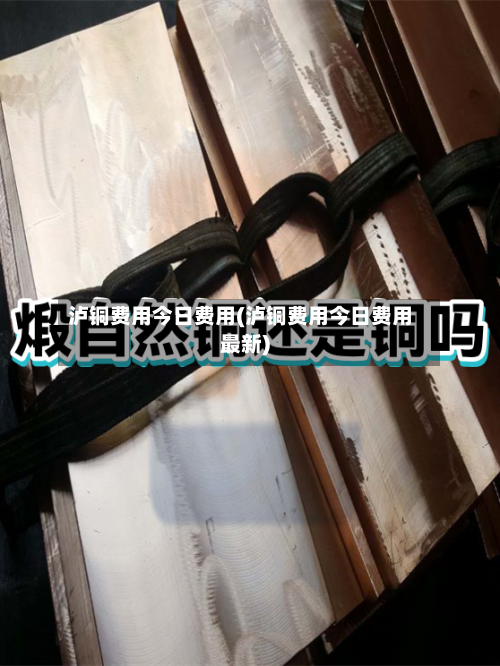 泸铜费用今日费用(泸铜费用今日费用最新)