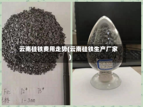 云南硅铁费用走势(云南硅铁生产厂家)