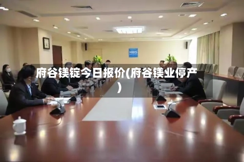 府谷镁锭今日报价(府谷镁业停产)