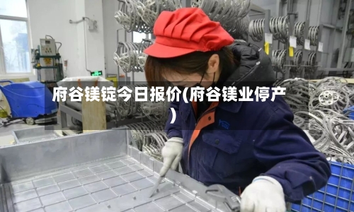 府谷镁锭今日报价(府谷镁业停产)-第2张图片