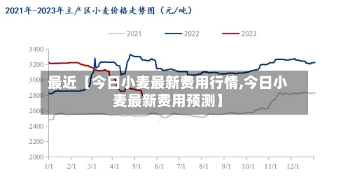最近【今日小麦最新费用行情,今日小麦最新费用预测】