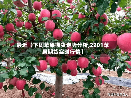 最近【下周苹果期货走势分析,2201苹果期货实时行情】-第3张图片