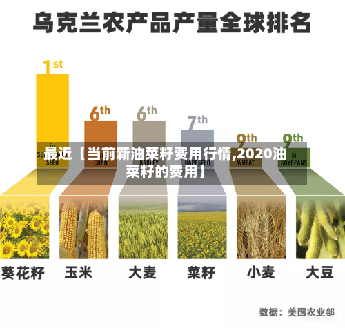 最近【当前新油菜籽费用行情,2020油菜籽的费用】