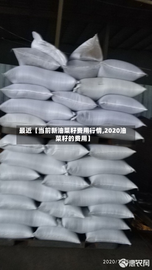 最近【当前新油菜籽费用行情,2020油菜籽的费用】-第2张图片