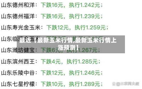 最近【最新玉米行情,最新玉米行情上涨预测】