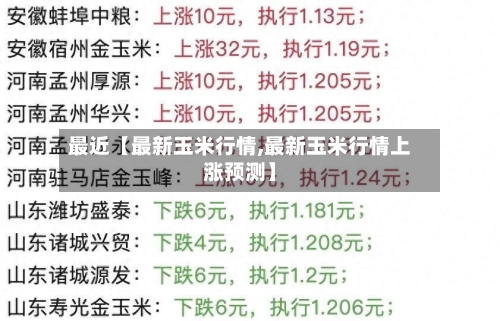 最近【最新玉米行情,最新玉米行情上涨预测】-第2张图片