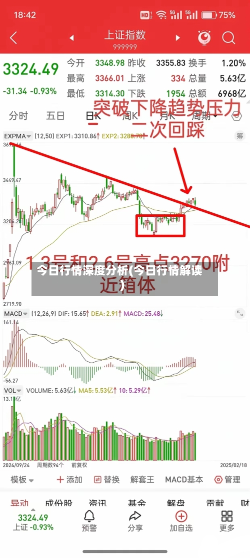 今日行情深度分析(今日行情解读)