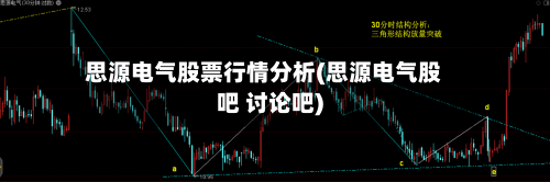思源电气股票行情分析(思源电气股吧 讨论吧)-第2张图片