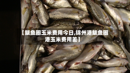 【鲅鱼圈玉米费用今日,锦州港鲅鱼圈港玉米费用差】