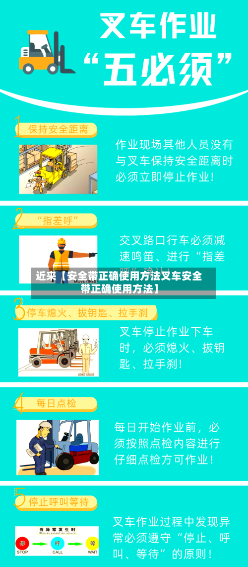 近来【安全带正确使用方法叉车安全带正确使用方法】-第2张图片
