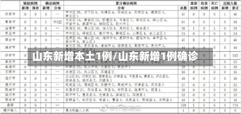 山东新增本土1例/山东新增1例确诊