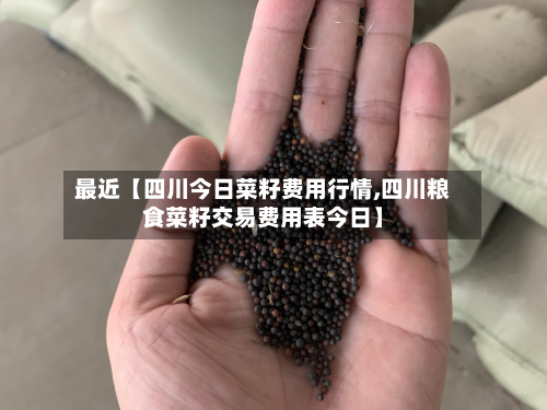 最近【四川今日菜籽费用行情,四川粮食菜籽交易费用表今日】-第2张图片