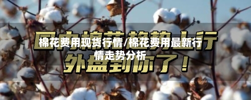 棉花费用现货行情/棉花费用最新行情走势分析