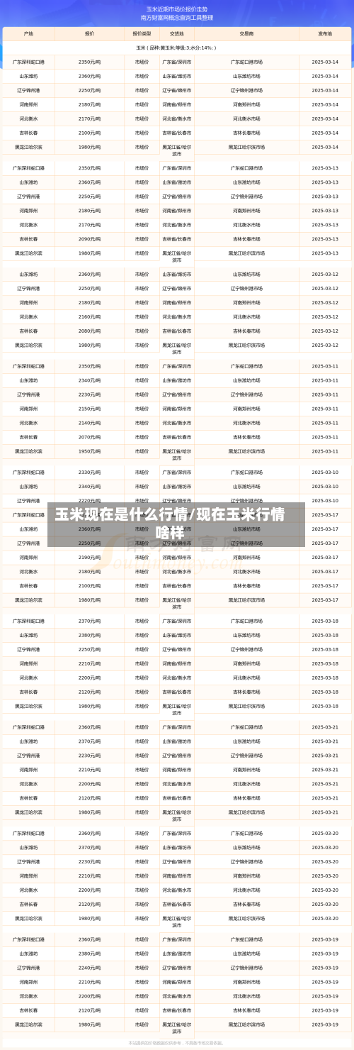 玉米现在是什么行情/现在玉米行情啥样-第3张图片