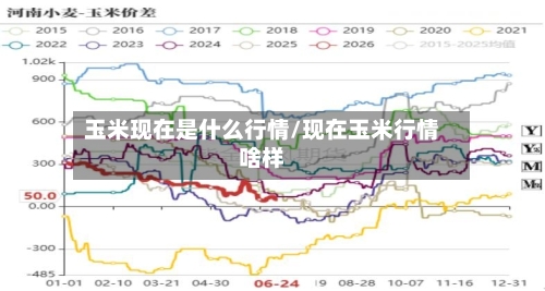 玉米现在是什么行情/现在玉米行情啥样