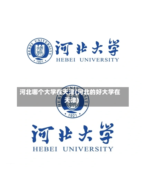 河北哪个大学在天津(河北的好大学在天津)