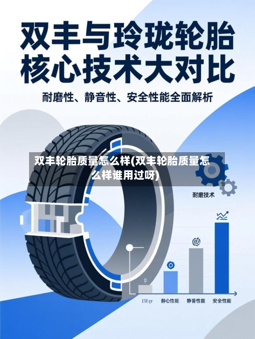 双丰轮胎质量怎么样(双丰轮胎质量怎么样谁用过呀)-第2张图片