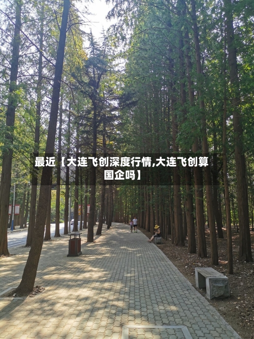 最近【大连飞创深度行情,大连飞创算国企吗】-第2张图片