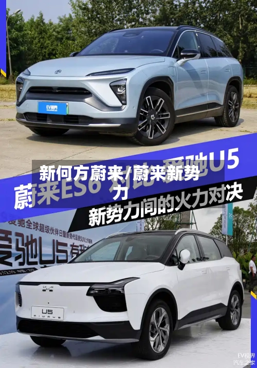 新何方蔚来/蔚来新势力