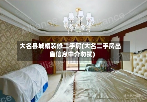 大名县城精装修二手房(大名二手房出售信息中介勿扰)