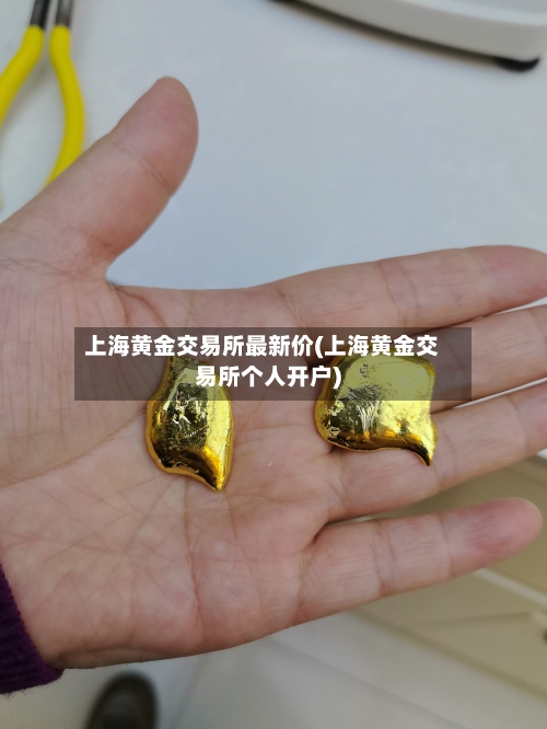 上海黄金交易所最新价(上海黄金交易所个人开户)