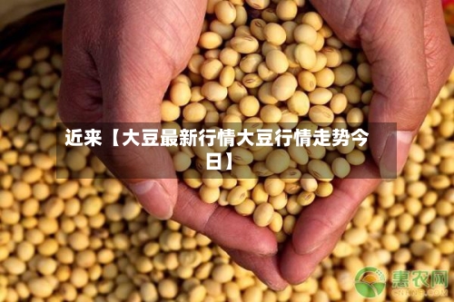 近来【大豆最新行情大豆行情走势今日】