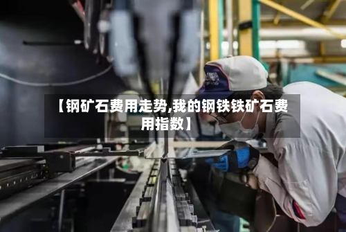 【钢矿石费用走势,我的钢铁铁矿石费用指数】