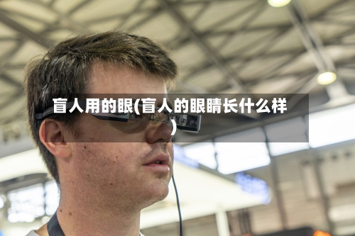 盲人用的眼(盲人的眼睛长什么样)-第2张图片