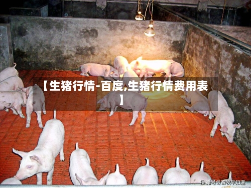 【生猪行情-百度,生猪行情费用表】-第2张图片
