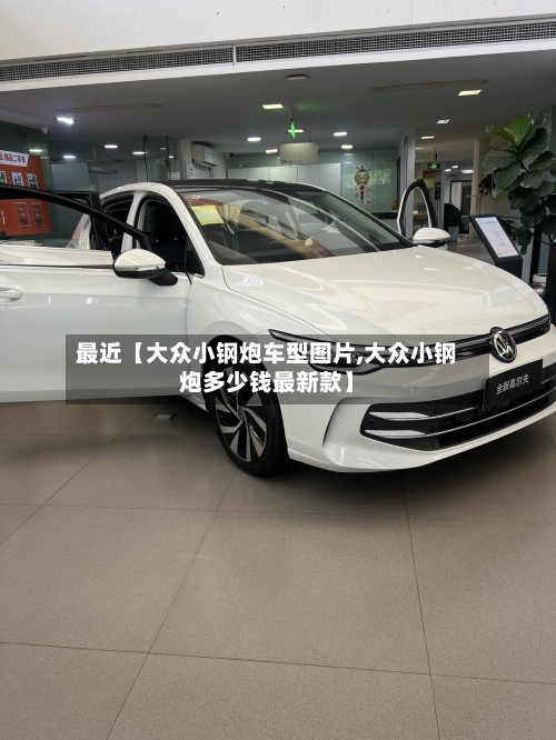 最近【大众小钢炮车型图片,大众小钢炮多少钱最新款】-第3张图片