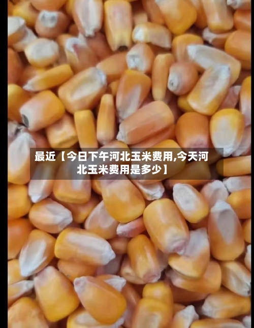 最近【今日下午河北玉米费用,今天河北玉米费用是多少】
