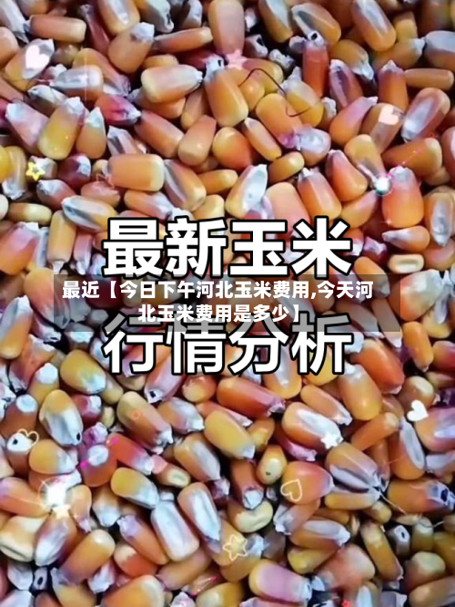 最近【今日下午河北玉米费用,今天河北玉米费用是多少】-第2张图片