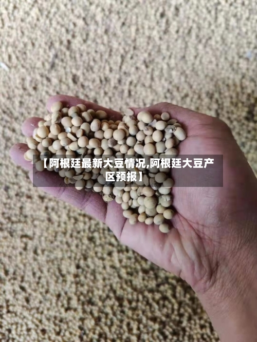 【阿根廷最新大豆情况,阿根廷大豆产区预报】-第2张图片