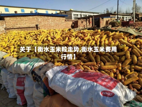 关于【衡水玉米粒走势,衡水玉米费用行情】-第2张图片