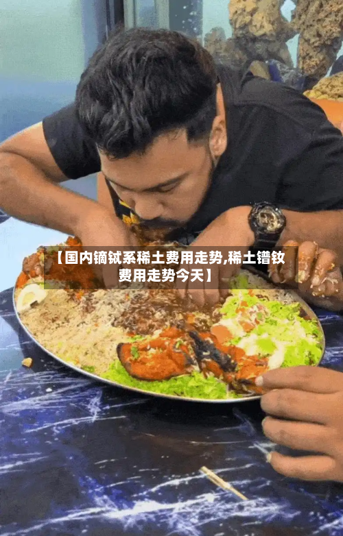 【国内镝铽系稀土费用走势,稀土镨钕费用走势今天】-第2张图片
