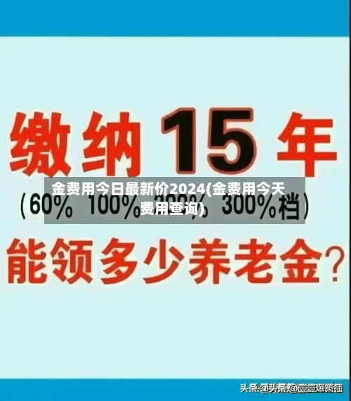金费用今日最新价2024(金费用今天费用查询)-第2张图片