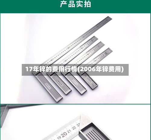 17年锌的费用行情(2006年锌费用)