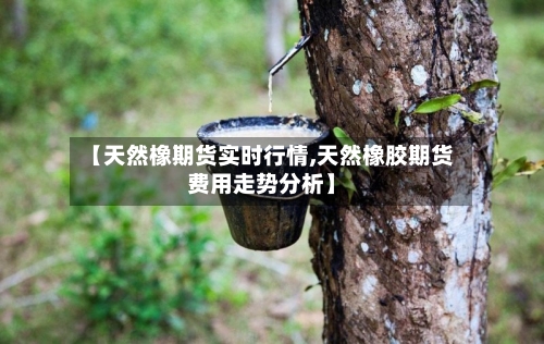 【天然橡期货实时行情,天然橡胶期货费用走势分析】