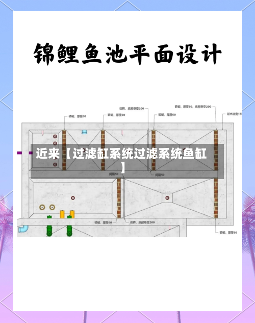 近来【过滤缸系统过滤系统鱼缸】-第2张图片