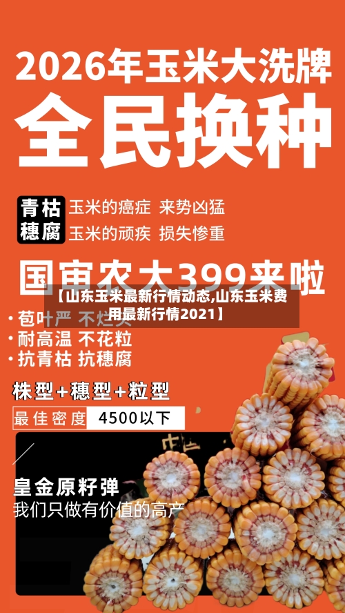 【山东玉米最新行情动态,山东玉米费用最新行情2021】