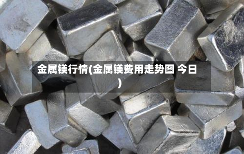 金属镁行情(金属镁费用走势图 今日)-第3张图片