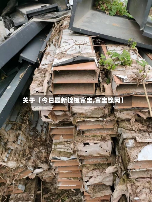 关于【今日最新镍板富宝,富宝镍网】
